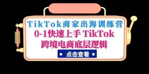 TikTok商家出海训练营：0-1快速上手 TikTok跨境电商底层逻辑(无水印)网赚项目-副业赚钱-互联网创业-资源整合众享汇研习社