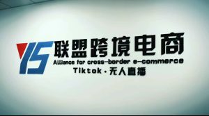 Tiktok无人直播,不出镜不剪辑不拍摄不发货无售后的跨境短视频玩法网赚项目-副业赚钱-互联网创业-资源整合众享汇研习社