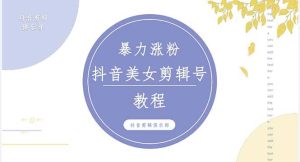 抖音快手暴力涨粉美女混剪视频教程 百分百过原创图片教程 附带违规申诉方法网赚项目-副业赚钱-互联网创业-资源整合众享汇研习社