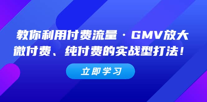 教你利用付费流量·GMV放大,微付费、纯付费的实战型打法网赚项目-副业赚钱-互联网创业-资源整合众享汇研习社