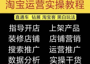 2023淘宝开店教程0基础到高级全套视频网店电商运营培训教学课程（2月更新）网赚项目-副业赚钱-互联网创业-资源整合众享汇研习社