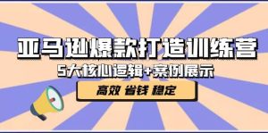 亚马逊爆款打造训练营：5大核心逻辑+案例展示 打造爆款链接 高效 省钱 稳定网赚项目-副业赚钱-互联网创业-资源整合众享汇研习社