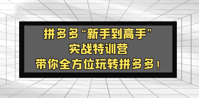 拼多多“新手到高手”实战特训营：带你全方位玩转拼多多网赚项目-副业赚钱-互联网创业-资源整合众享汇研习社