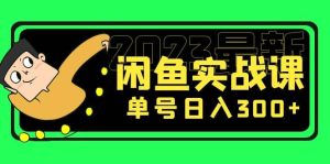 花599买的闲鱼项目：2023最新闲鱼实战课（7节课）网赚项目-副业赚钱-互联网创业-资源整合众享汇研习社