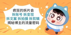 疯狂的拆片会：拆账号 拆变现 拆文案 拆拍摄 拆剪辑 揭秘博主的流量密码网赚项目-副业赚钱-互联网创业-资源整合众享汇研习社