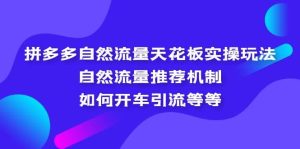 拼多多自然流量天花板实操玩法：自然流量推荐机制，如何开车引流等等网赚项目-副业赚钱-互联网创业-资源整合众享汇研习社