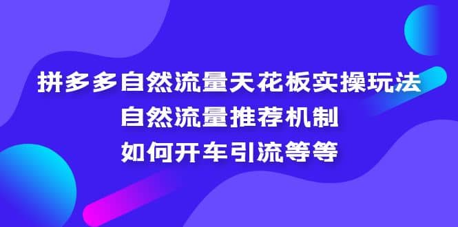 拼多多自然流量天花板实操玩法：自然流量推荐机制，如何开车引流等等网赚项目-副业赚钱-互联网创业-资源整合众享汇研习社