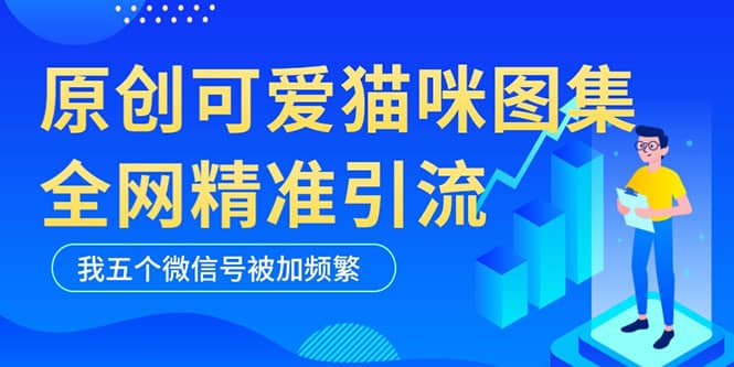黑科技纯原创可爱猫咪图片,全网精准引流,实操5个VX号被加频繁网赚项目-副业赚钱-互联网创业-资源整合众享汇研习社