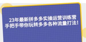 23年最新拼多多实操运营训练营:手把手带你玩转多多各种流量打法!网赚项目-副业赚钱-互联网创业-资源整合众享汇研习社