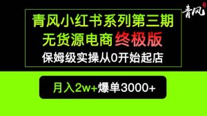 小红书无货源电商爆单终极版【视频教程+实战手册】保姆级实操从0起店爆单网赚项目-副业赚钱-互联网创业-资源整合众享汇研习社