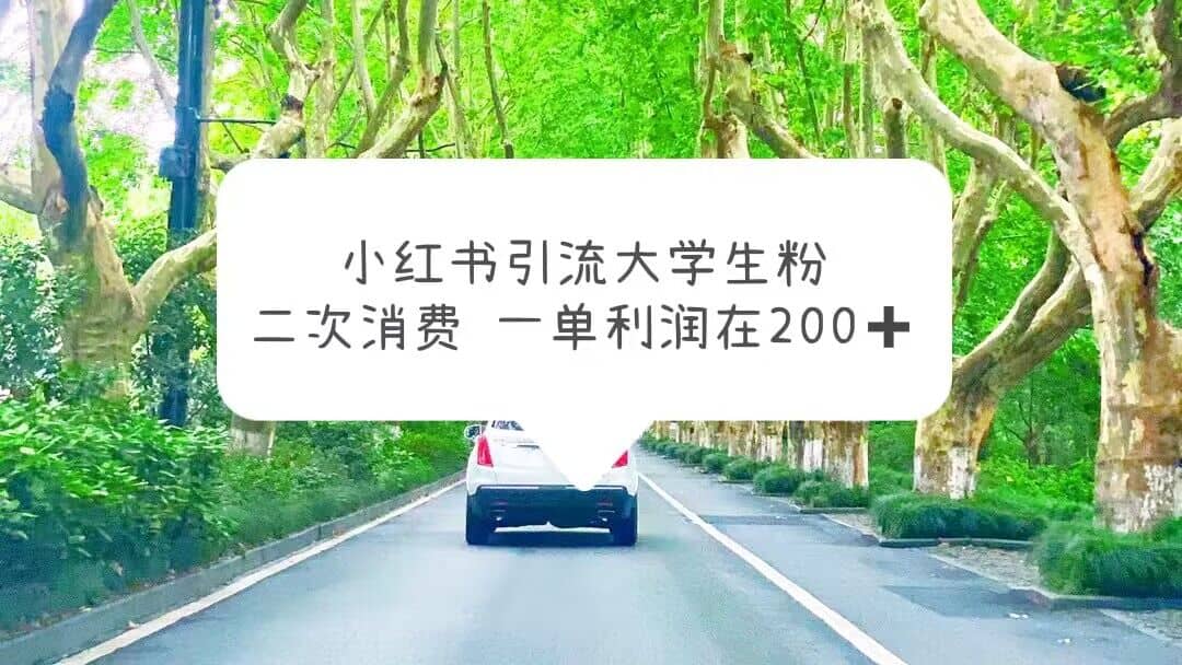 小红书引流大学生粉,变现项目,一单利润在200+(教程+资源)网赚项目-副业赚钱-互联网创业-资源整合众享汇研习社