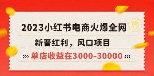 2023小红书电商火爆全网,新晋红利,风口项目,单店收益在3000-30000网赚项目-副业赚钱-互联网创业-资源整合众享汇研习社
