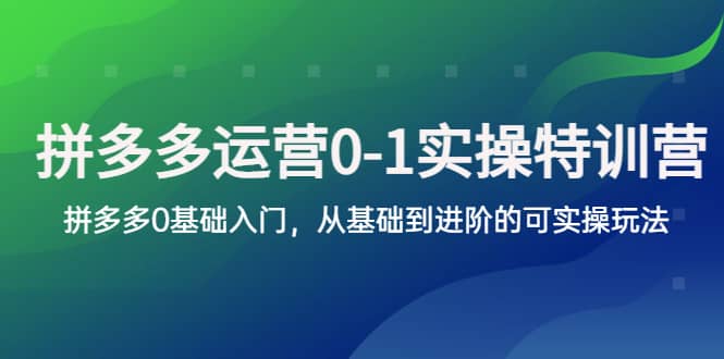 拼多多-运营0-1实操训练营,拼多多0基础入门,从基础到进阶的可实操玩法网赚项目-副业赚钱-互联网创业-资源整合众享汇研习社