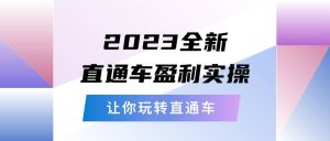 2023全新直通车·盈利实操：从底层，策略到搭建，让你玩转直通车网赚项目-副业赚钱-互联网创业-资源整合众享汇研习社