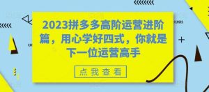 2023拼多多高阶运营进阶篇，用心学好四式，你就是下一位运营高手网赚项目-副业赚钱-互联网创业-资源整合众享汇研习社