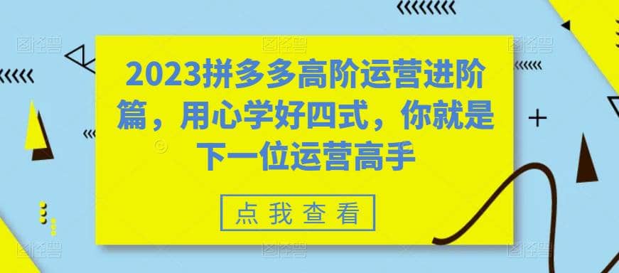 2023拼多多高阶运营进阶篇，用心学好四式，你就是下一位运营高手网赚项目-副业赚钱-互联网创业-资源整合众享汇研习社