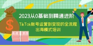 2023从0基础到精通进阶，TikTok账号运营到变现的全流程出海模式培训网赚项目-副业赚钱-互联网创业-资源整合众享汇研习社