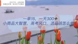 一单15，一天300+，小商品大智慧，高考风口，选品该怎么布局网赚项目-副业赚钱-互联网创业-资源整合众享汇研习社