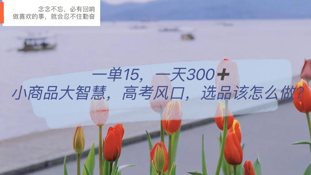 一单15,一天300+,小商品大智慧,高考风口,选品该怎么布局网赚项目-副业赚钱-互联网创业-资源整合众享汇研习社