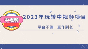 2023一心0基础玩转中视频项目：平台不倒，一直做到老网赚项目-副业赚钱-互联网创业-资源整合众享汇研习社