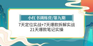 小红书训练营/第九期:7天定位实战+7天爆款拆解实战,21天爆款笔记实操网赚项目-副业赚钱-互联网创业-资源整合众享汇研习社