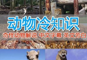 外面卖1699的国外纪录片解说(动物解说、美食、动画片)稳过中视频网赚项目-副业赚钱-互联网创业-资源整合众享汇研习社