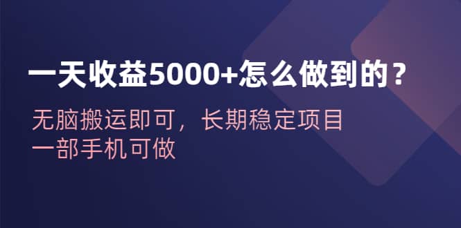 一天收益5000+怎么做到的?无脑搬运即可,长期稳定项目,一部手机可做网赚项目-副业赚钱-互联网创业-资源整合众享汇研习社