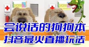 抖音无人直播玩法会说话的狗狗本弹幕礼物互动小游戏（游戏软件+开播教程）网赚项目-副业赚钱-互联网创业-资源整合众享汇研习社