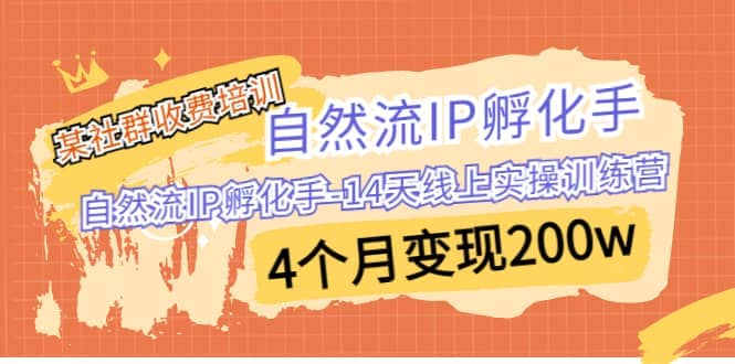 某社群收费培训：自然流IP 孵化手-14天线上实操训练营 4个月变现200w网赚项目-副业赚钱-互联网创业-资源整合众享汇研习社