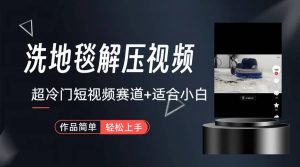 超冷门抖音短视频赛道-清洗地毯解压视频-简单无脑怼作品(教程+素材)网赚项目-副业赚钱-互联网创业-资源整合众享汇研习社
