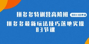 2023拼多多·特训营高阶班【9月13日更新】拼多多最新玩法技巧落地实操-83节网赚项目-副业赚钱-互联网创业-资源整合众享汇研习社