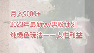 月入9000+2023年9月最新yw男粉计划绿色玩法——人性之利益网赚项目-副业赚钱-互联网创业-资源整合众享汇研习社
