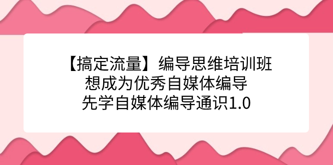 【搞定流量】编导思维培训班,想成为优秀自媒体编导先学自媒体编导通识1.0网赚项目-副业赚钱-互联网创业-资源整合众享汇研习社