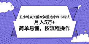 丑小鸭变天鹅女神塑造小红书玩法，月入5万+，简单易懂，按流程操作网赚项目-副业赚钱-互联网创业-资源整合众享汇研习社