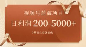 视频号蓝海项目，0基础在家也能做，一天200-5000+【附266G资料】网赚项目-副业赚钱-互联网创业-资源整合众享汇研习社