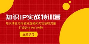 知识IP实战特训营:知识博主如何做好直播间内容获取流量 打造好ip 收心收钱网赚项目-副业赚钱-互联网创业-资源整合众享汇研习社