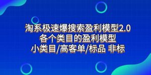 淘系极速爆搜索盈利模型2.0,各个类目的盈利模型,小类目/高客单/标品 非标网赚项目-副业赚钱-互联网创业-资源整合众享汇研习社