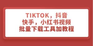 TIKTOK，抖音，快手，小红书视频批量下载工具加教程网赚项目-副业赚钱-互联网创业-资源整合众享汇研习社