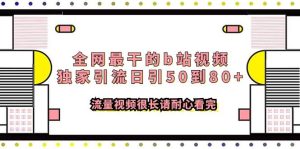 全网最干的b站视频独家引流日引50到80+流量视频很长请耐心看完网赚项目-副业赚钱-互联网创业-资源整合众享汇研习社