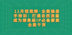11月短视频·全案操盘手培训:打通自然流量 成为想象级IP必备要素 全是干货网赚项目-副业赚钱-互联网创业-资源整合众享汇研习社