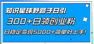 知识星球野路子日引300+白领创业粉,日稳定变现5000+简单好上手!网赚项目-副业赚钱-互联网创业-资源整合众享汇研习社