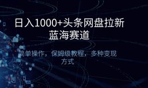 日入1000+头条网盘拉新蓝海赛道,简单操作,保姆级教程,多种变现方式网赚项目-副业赚钱-互联网创业-资源整合众享汇研习社