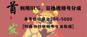 全网独家首发，视频号BUG，超短期项目，单号每日净收益300-5000！网赚项目-副业赚钱-互联网创业-资源整合众享汇研习社