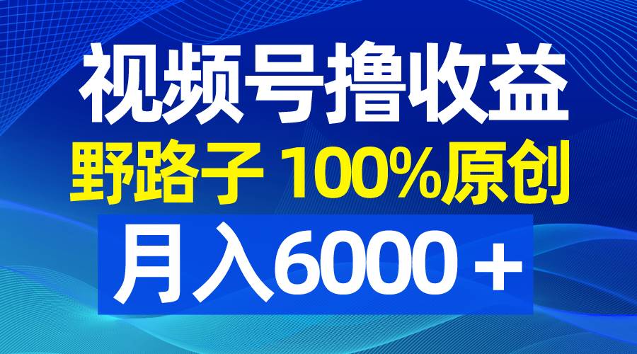 视频号野路子撸收益,100%原创,条条爆款,月入6000+网赚项目-副业赚钱-互联网创业-资源整合众享汇研习社