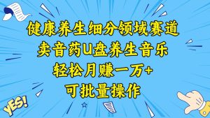 健康养生细分领域赛道,卖音药U盘养生音乐,轻松月赚一万+,可批量操作网赚项目-副业赚钱-互联网创业-资源整合众享汇研习社
