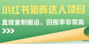 小红书矩阵达人项目，直接复制搬运，回报率非常高网赚项目-副业赚钱-互联网创业-资源整合众享汇研习社