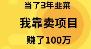 当了3年韭菜，我靠卖项目赚了100万网赚项目-副业赚钱-互联网创业-资源整合众享汇研习社