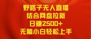 无人直播野路子结合网盘拉新,日赚2500+多平台变现,小白无脑轻松上手操作网赚项目-副业赚钱-互联网创业-资源整合众享汇研习社