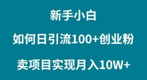 新手小白如何通过卖项目实现月入10W+网赚项目-副业赚钱-互联网创业-资源整合众享汇研习社