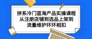 拼系冷门蓝海产品实操课程，从注册店铺到选品上架到流量维护环环相扣网赚项目-副业赚钱-互联网创业-资源整合众享汇研习社
